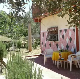 أرض بسكن في جماعة عرباوة