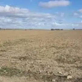 Terrain agricole nouvellement equipé 27 ha