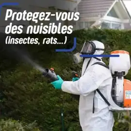 Traitement de cafard