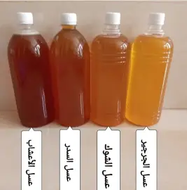 عسل السدر