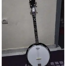 Bon banjo