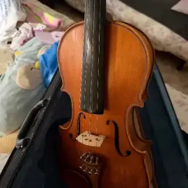 Violon